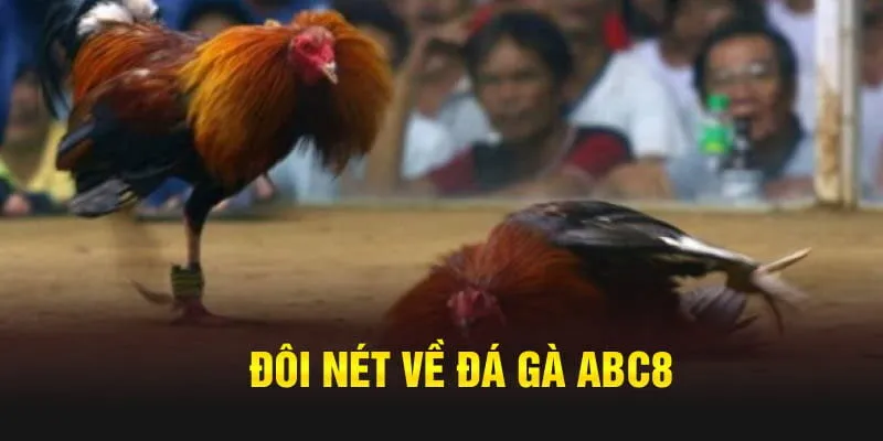 Âm thanh chất lượng cực đỉnh với đá gà ABC8